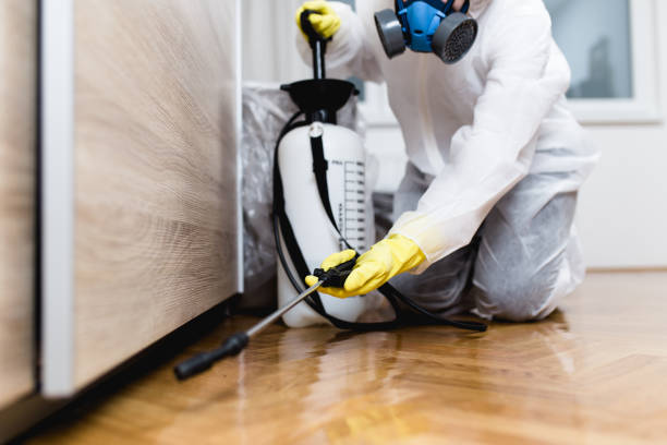 Best Residential Pest Control  in Haskell, AR