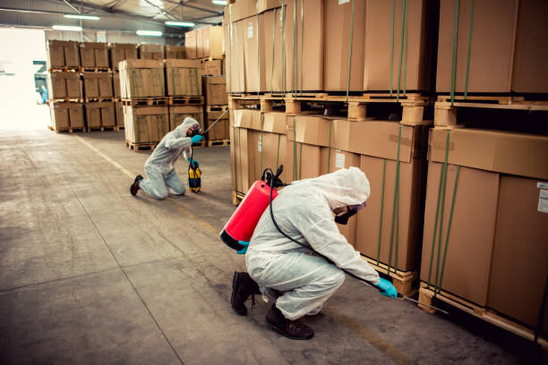 Best Termite Control Services  in Haskell, AR