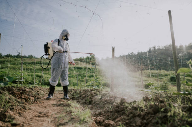 Best Best Pest Control Companies  in Haskell, AR