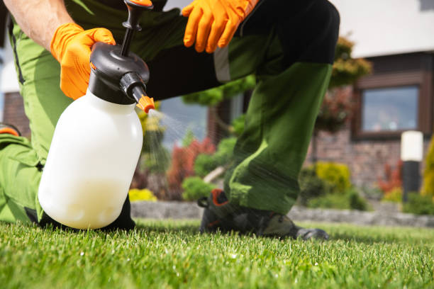Best Wasp Removal Services  in Haskell, AR