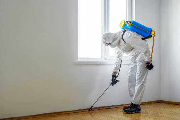 Best Ant Control Services  in Haskell, AR