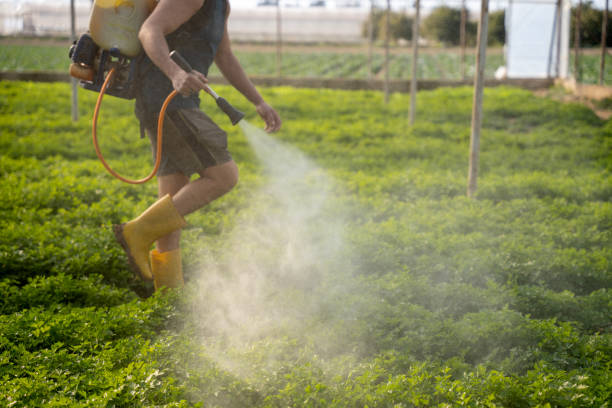 Best Pest Control for Homes  in Haskell, AR