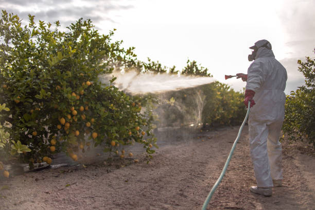 Best Best Pest Control Near Me  in Haskell, AR