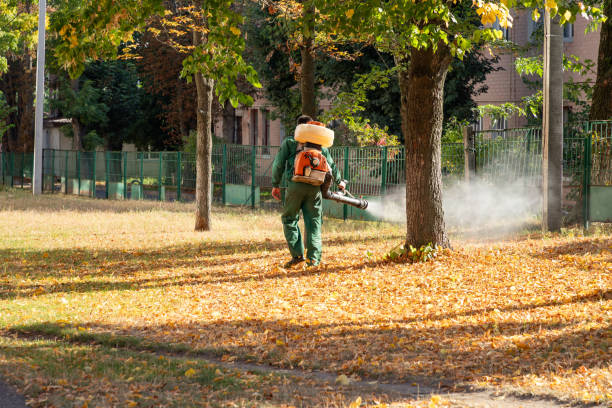 Best Flea Control Services  in Haskell, AR